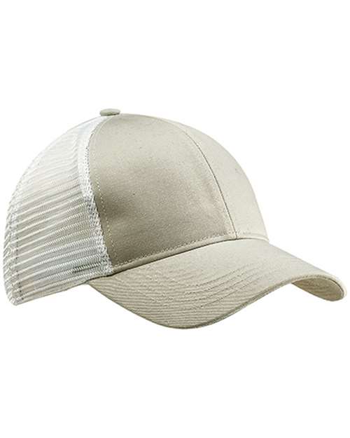 Dolphin/ White