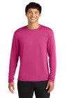 Fuchsia - A4N3165