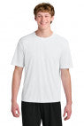 White - A4N3531