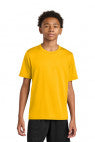 Gold - A4NB3142