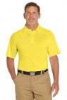 Yellow - CS410