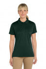 Dark Green - CS413