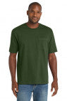 Dark Green - CS430