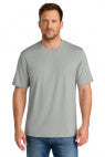 LightGrey - CS440