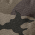 BlkInkCamo - CSB206