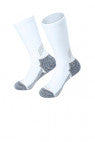 White - CTSC4223