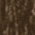 Dk Brn/Sandstn - CT104597