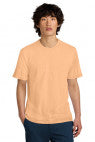 Apricot - DT104