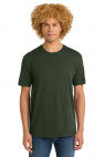 Thyme Green - DT104
