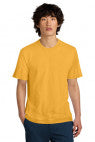 WarmGold - DT104