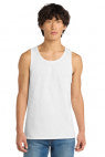 White - DT5300