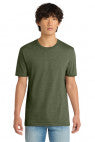 Olive - DT564