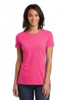 Fuchsia Frost - DT6002