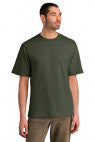 Olive - DT6065
