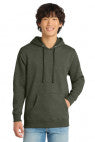 Ht Olive - DT6100