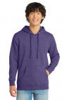 Ht Purple - DT6100