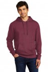 Plum - DT6100
