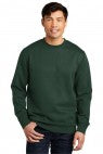 Forest Green - DT6104