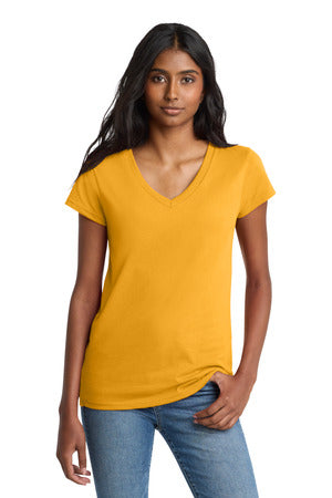 Maize Yellow - DT8001