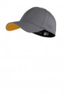 Graph/Gold - NE1100