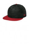 FlgSc/BkCm - NE407