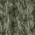 NwTaupeGn - NF0A5FXY