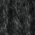 TNFBlack - NF0A5FXY