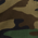 Camo - NE1000