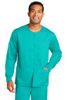 Teal - WW3080