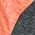 Brt Orng/Black - DT262