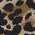 Leopard - DM104CL