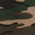 Military Camo - DT624